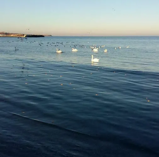 Appartamento Sara Seaview Olimp